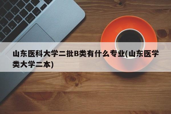 山东医科大学二批B类有什么专业(山东医学类大学二本)