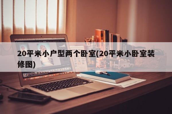 20平米小户型两个卧室(20平米小卧室装修图)