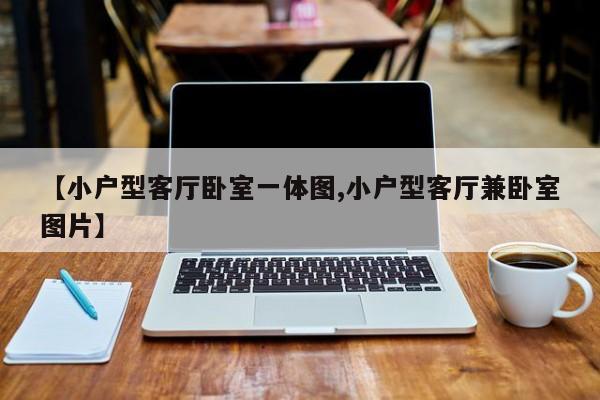 【小户型客厅卧室一体图,小户型客厅兼卧室图片】