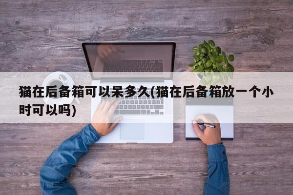 猫在后备箱可以呆多久(猫在后备箱放一个小时可以吗)