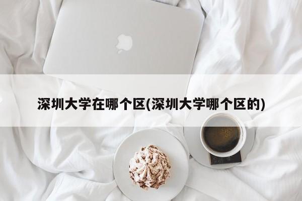 深圳大学在哪个区(深圳大学哪个区的)