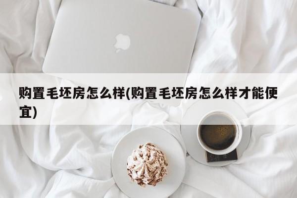 购置毛坯房怎么样(购置毛坯房怎么样才能便宜)